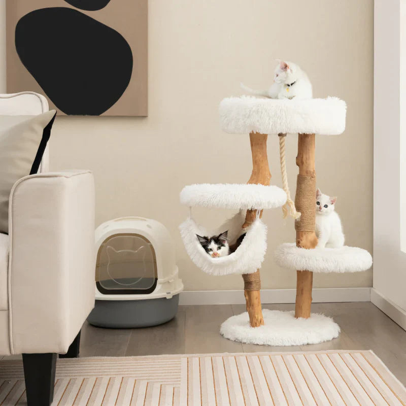 Minimalist Cat Trees: How to keep Your Home Calm& Your Cat Happy