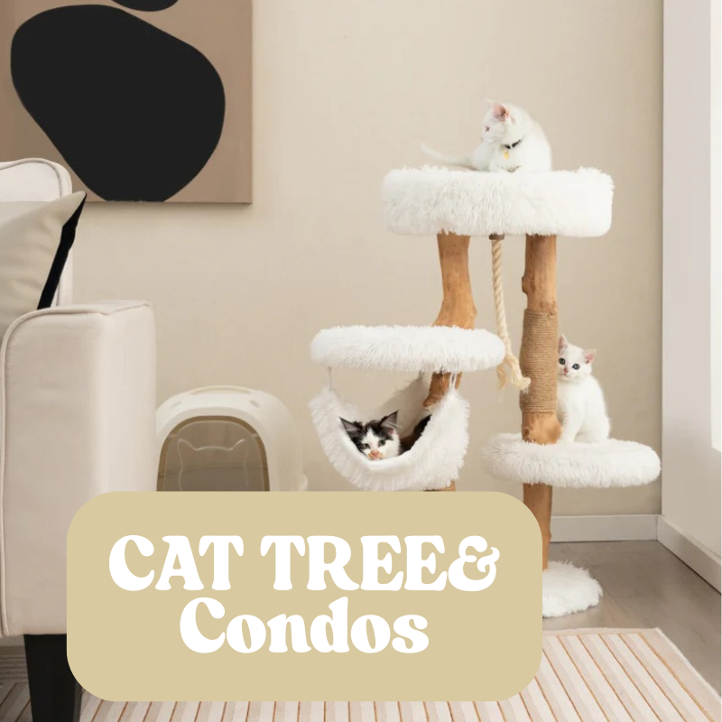 Cat Trees & Condos