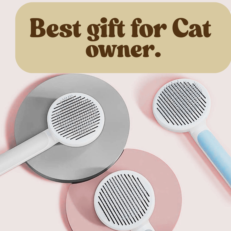 🎁Best Gift for Cat Lovers _ Curated with Style & Heart ❤️