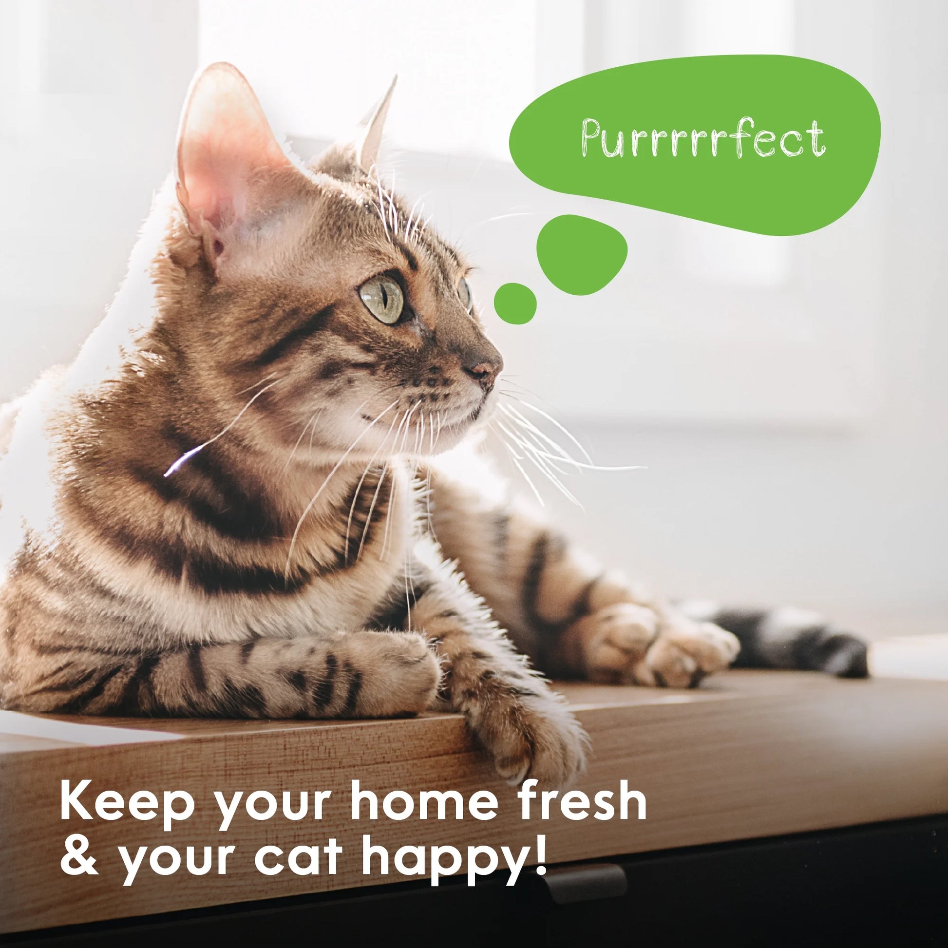 Cat Litter Disposal Odor Free Pail System, New